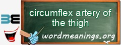 WordMeaning blackboard for circumflex artery of the thigh